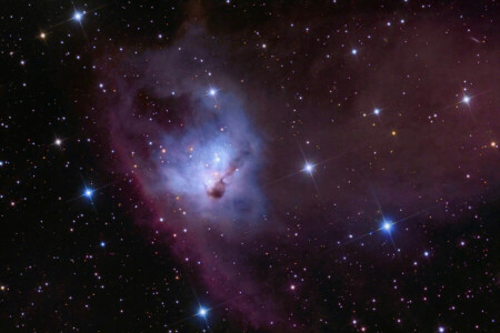 i konstellationen, nebulosa, NGC 1788, Orion, reflekterande