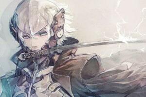 Kunst, Metal Gear Rising: Revengeance, Raiden, Senano Yu