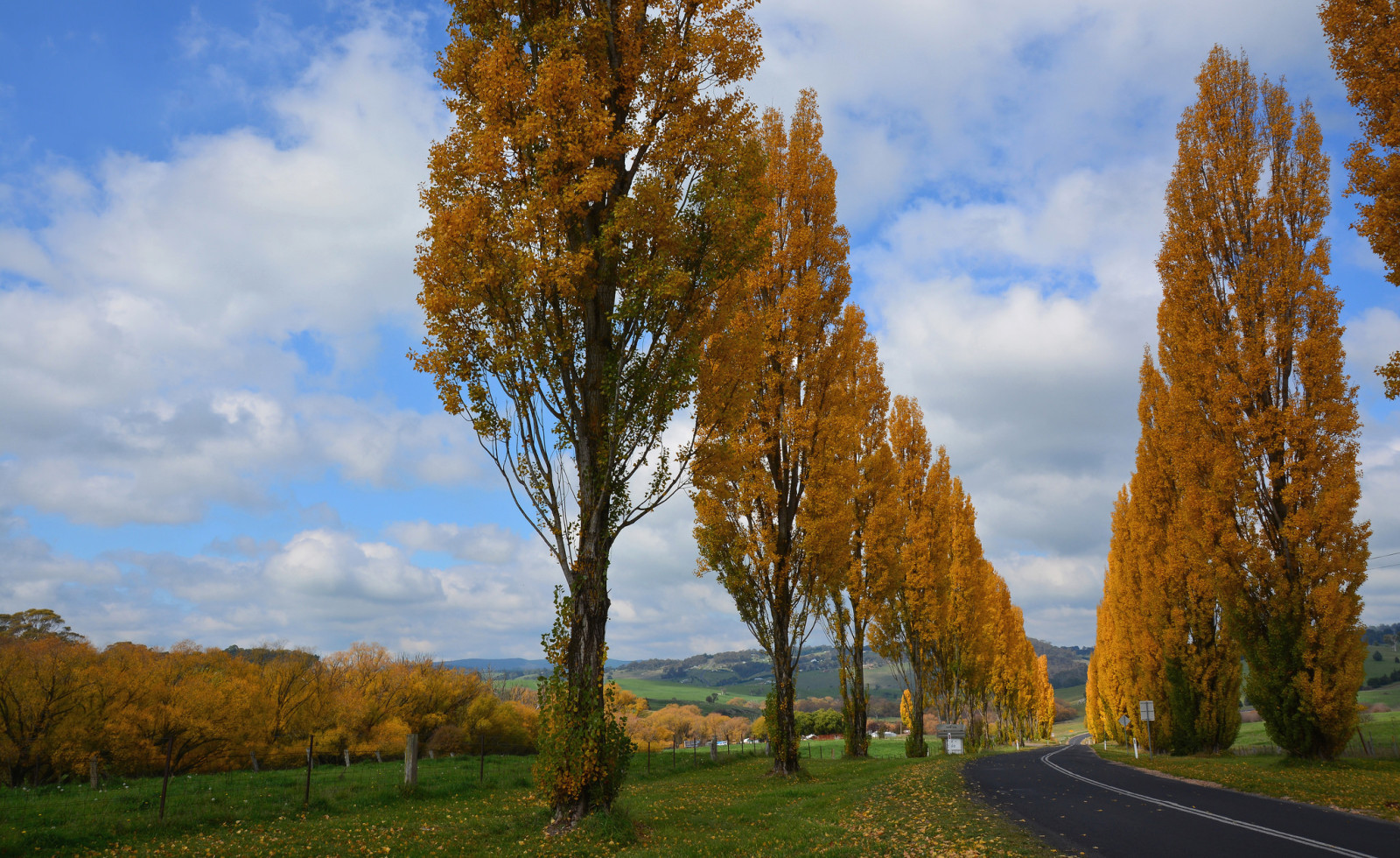 l'automne, Le ciel, route, des arbres, des nuages, Jardin