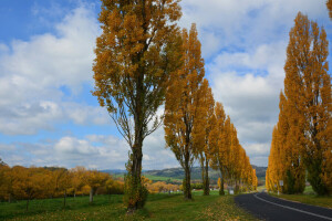 autunno, nuvole, Giardino, strada, il cielo, alberi