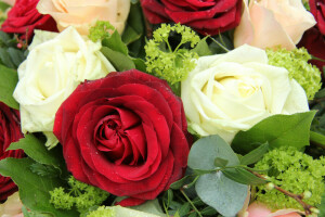 bouquet, leaves, roses