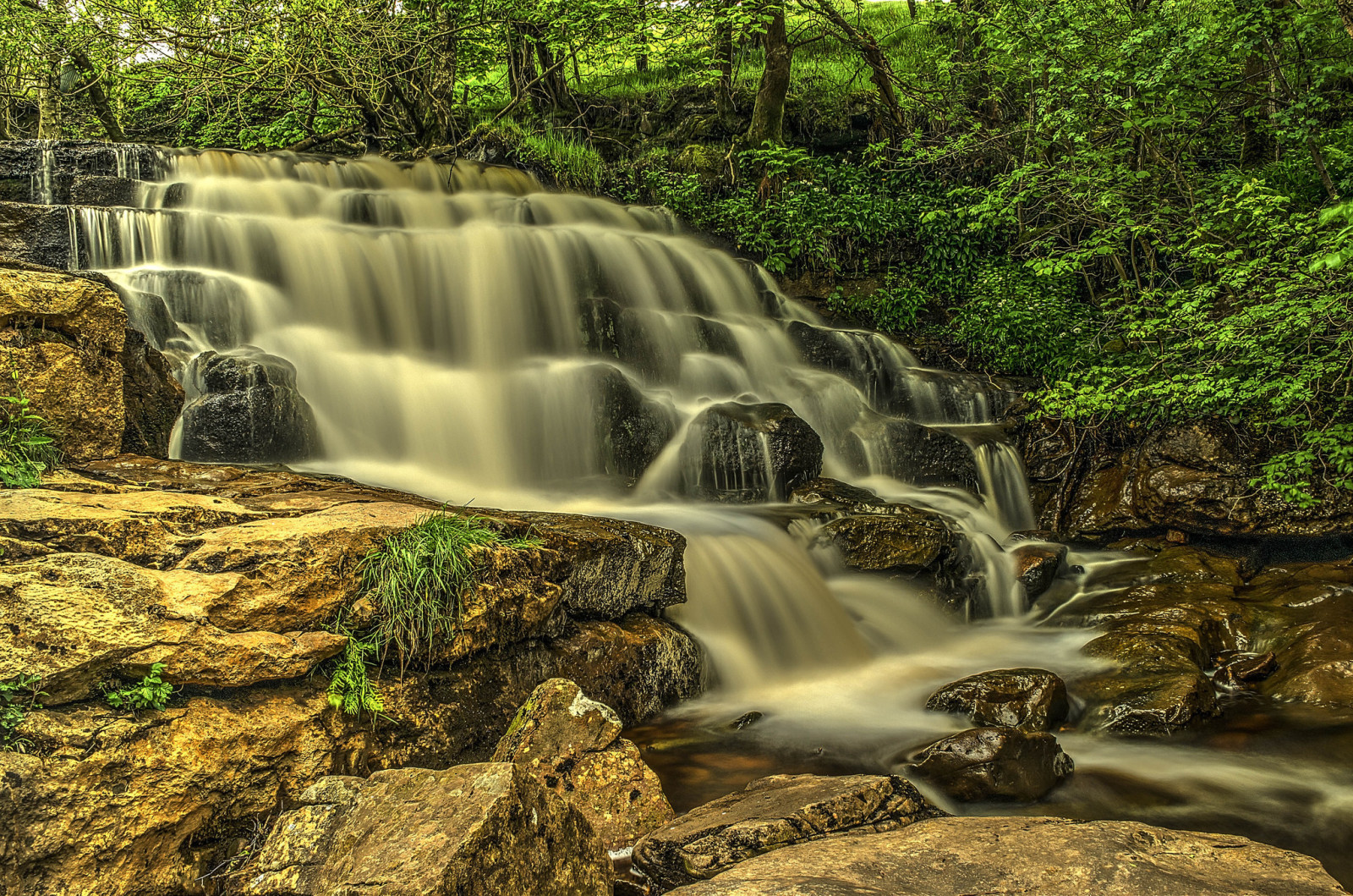 forest, river, stones, trees, waterfall, rocks, stream, cascade