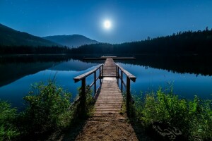 Bank, Canada, Woud, meer, landschap, mostok, bergen, natuur