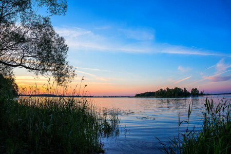 lago, puesta de sol, los arbustos, las cañas