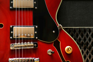 Gibson 335, macro, instrumentos de cuerda