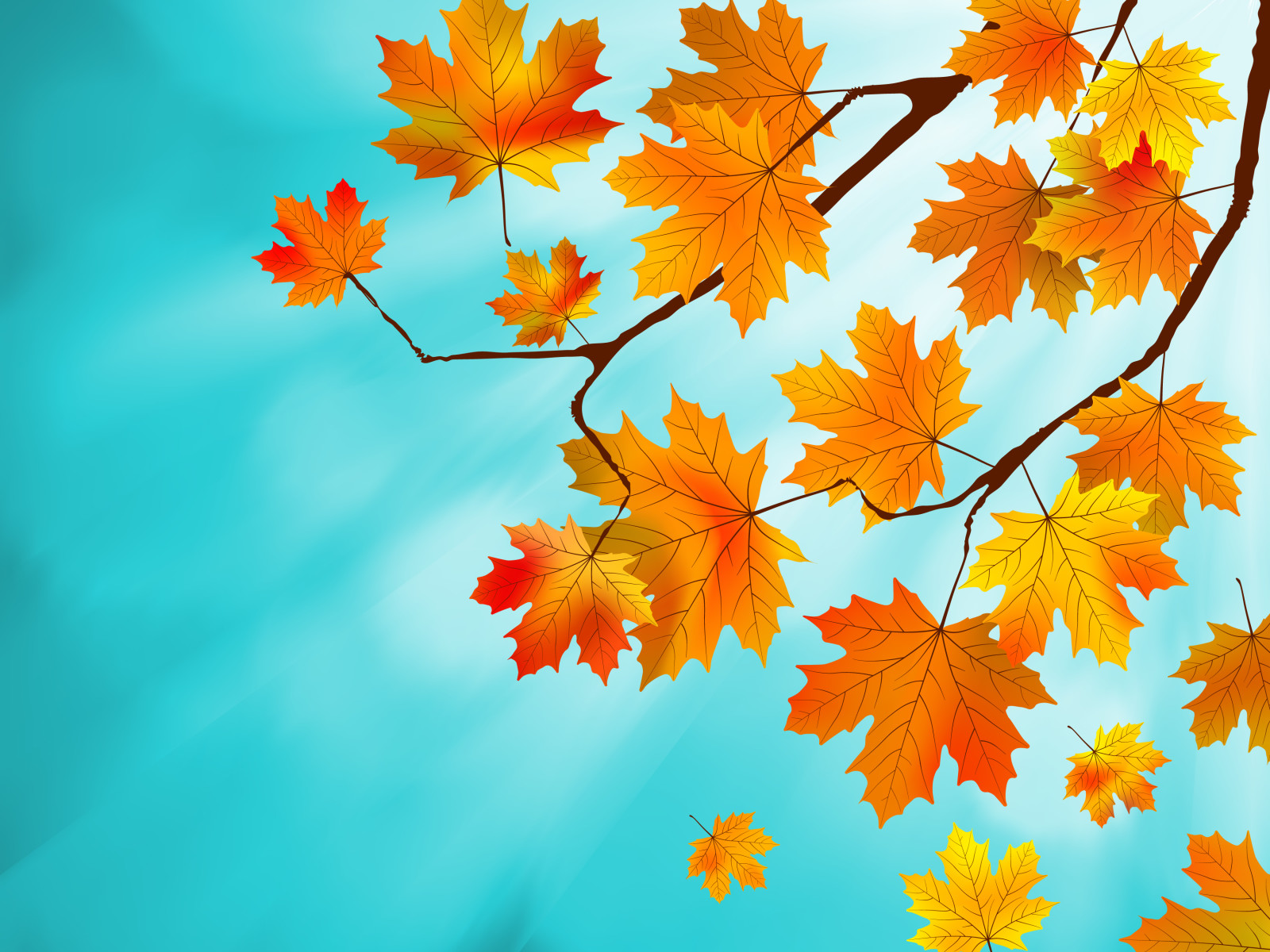 autumn, background, leaves, maple