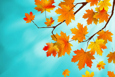 autumn, background, leaves, maple