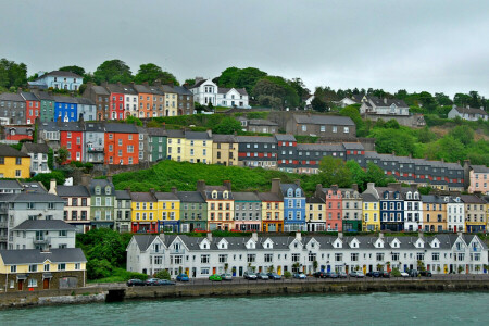 hjem, Irland, hav, hældning, himlen, træer