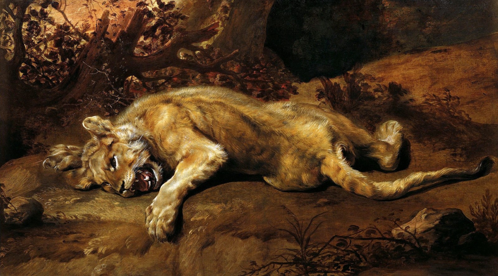 gato, Arte, depredador, Pintura, colmillos, garras