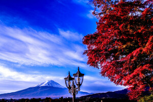 Fuji, Japonya, Fener, Dağ, gökyüzü, ağaç