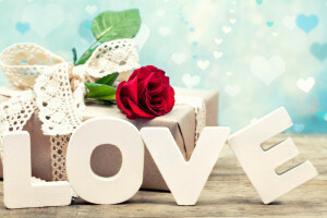 gift, letters, love, rose, valentine's day