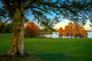 autumn, grass, lake, the sky, trees