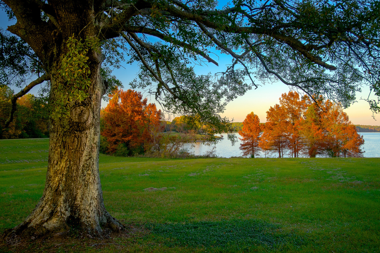 otoño, césped, el cielo, lago, arboles