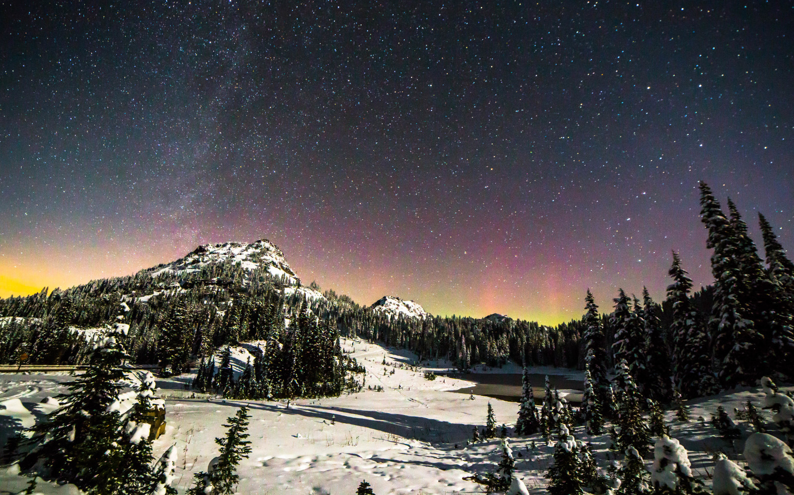 neige, forêt, hiver, paysage, montagnes, étoiles, Parc national de Rainier