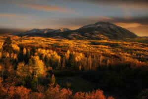 Herbst, Waldbäume, Berge, Natur