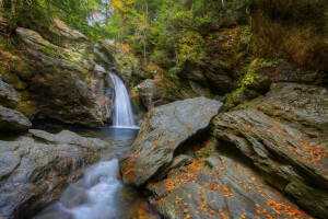 autumn, forest, rocks, stones, stream, trees, waterfall