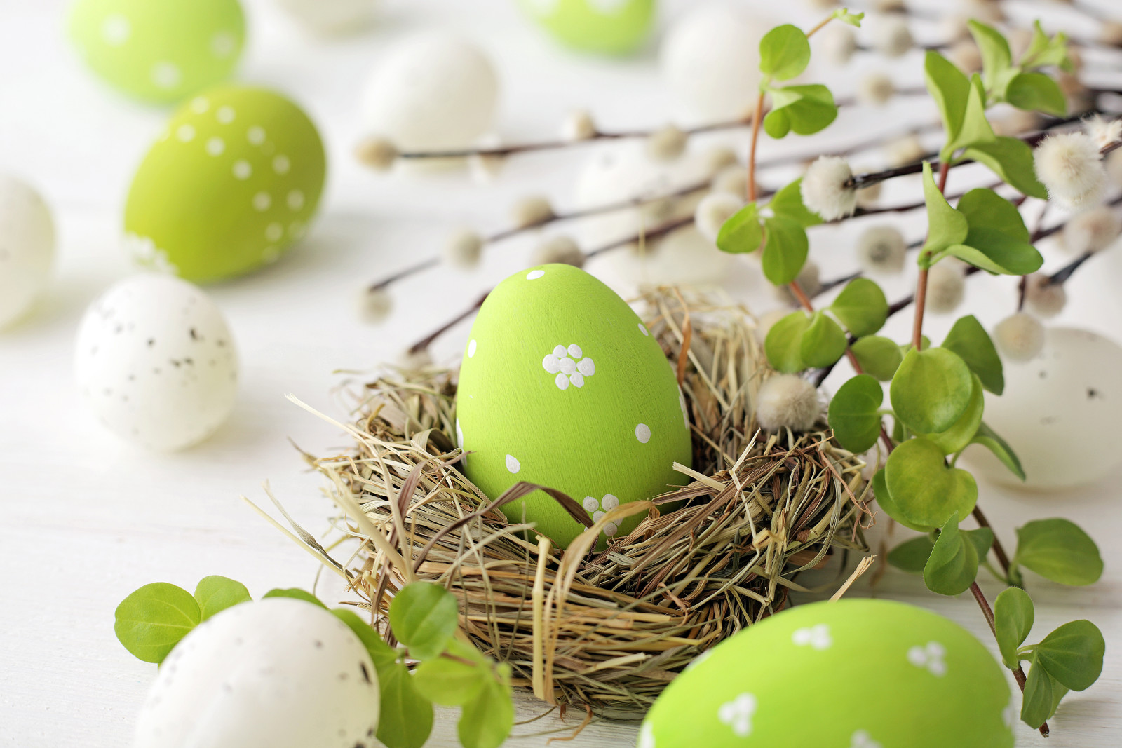 decoration, eggs, happy, flowers, spring, Easter, Verba, Willow