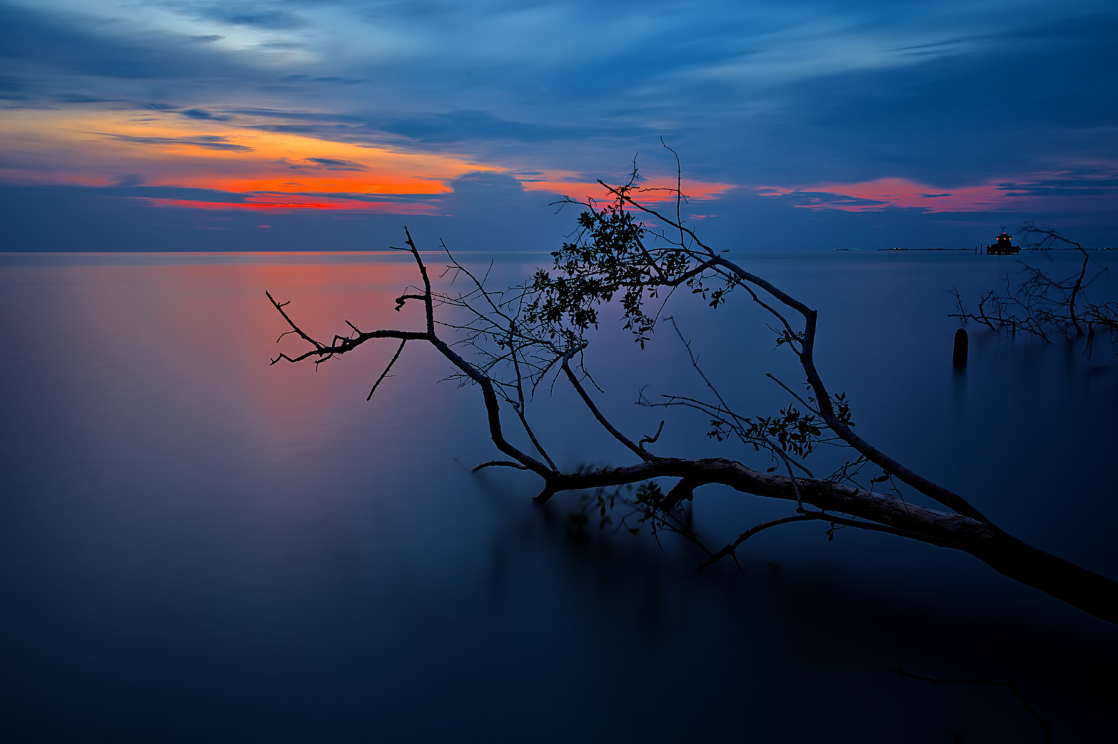 árbol, el cielo, lago, puesta de sol, nubes