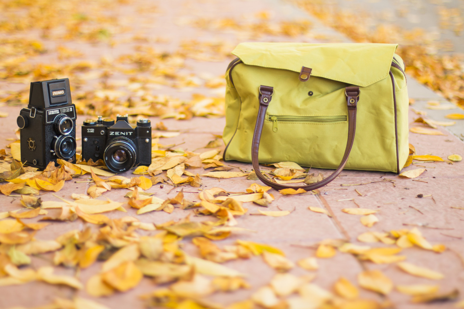 Straße, Tasche, Jahrgang, Mode, autum