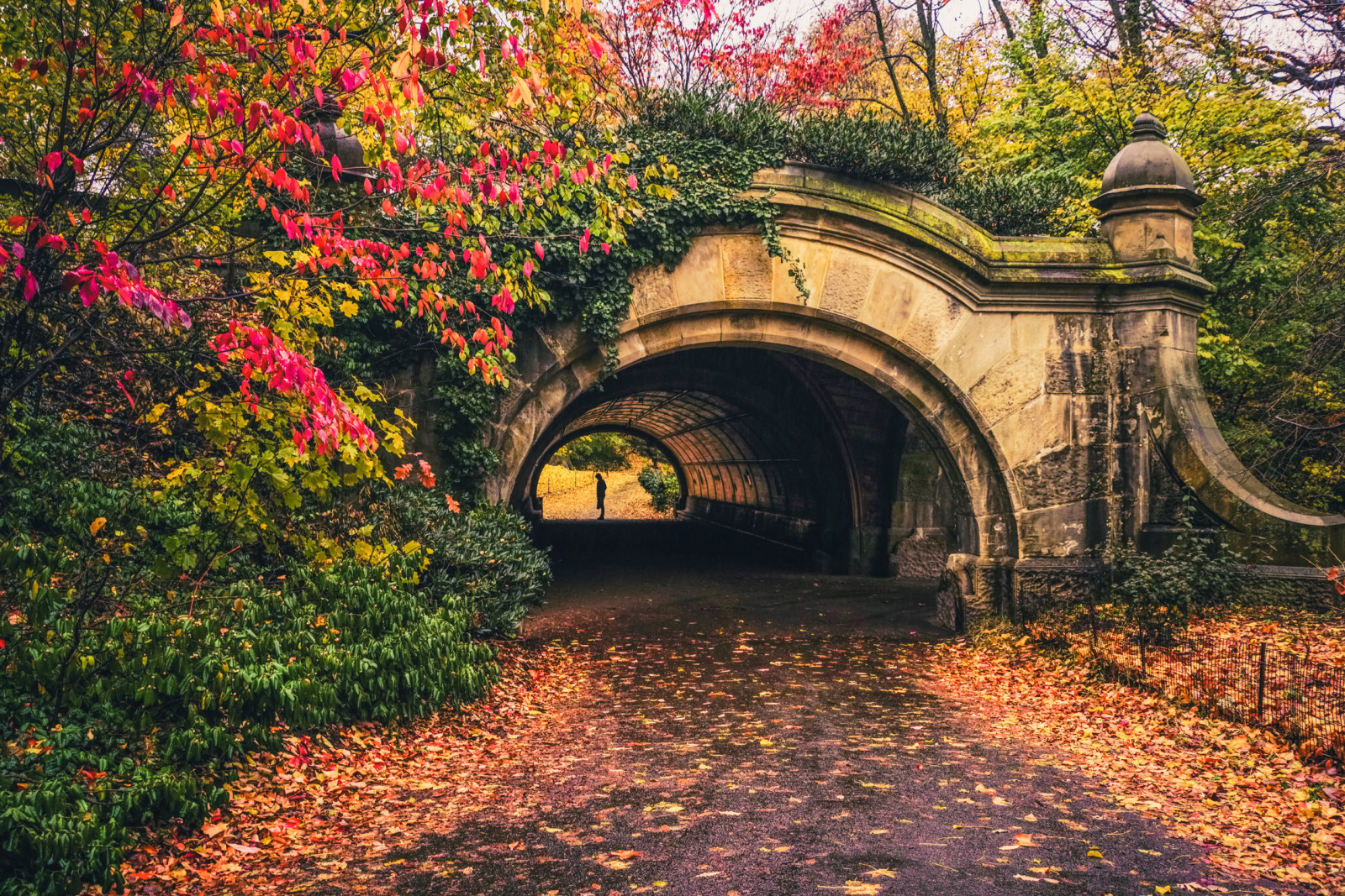 jeseň, olistenie, stromy, listy, ľudia, cesta, New York, tunel