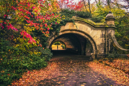 l'automne, Brooklyn, feuillage, feuilles, New York, gens, Prospect Park, le tunnel