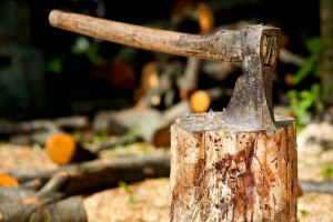 Axe, metal, trunk, wood