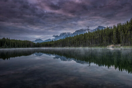 nuvole, lago, montagne, riflessione, la sera, il cielo, alberi