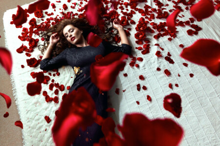 Daniel Ilinca, girl, petals, red roses, roses