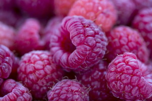 baies, macro, framboise