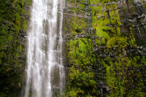 Hawaii, Maui, USA, vandfald