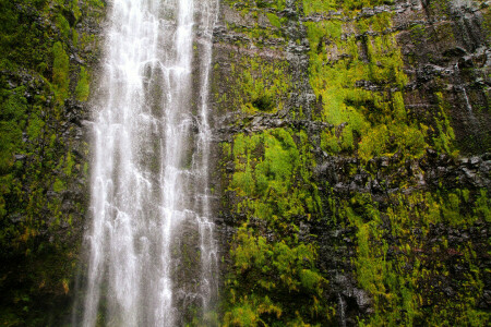 Hawaii, Maui, USA, waterfall