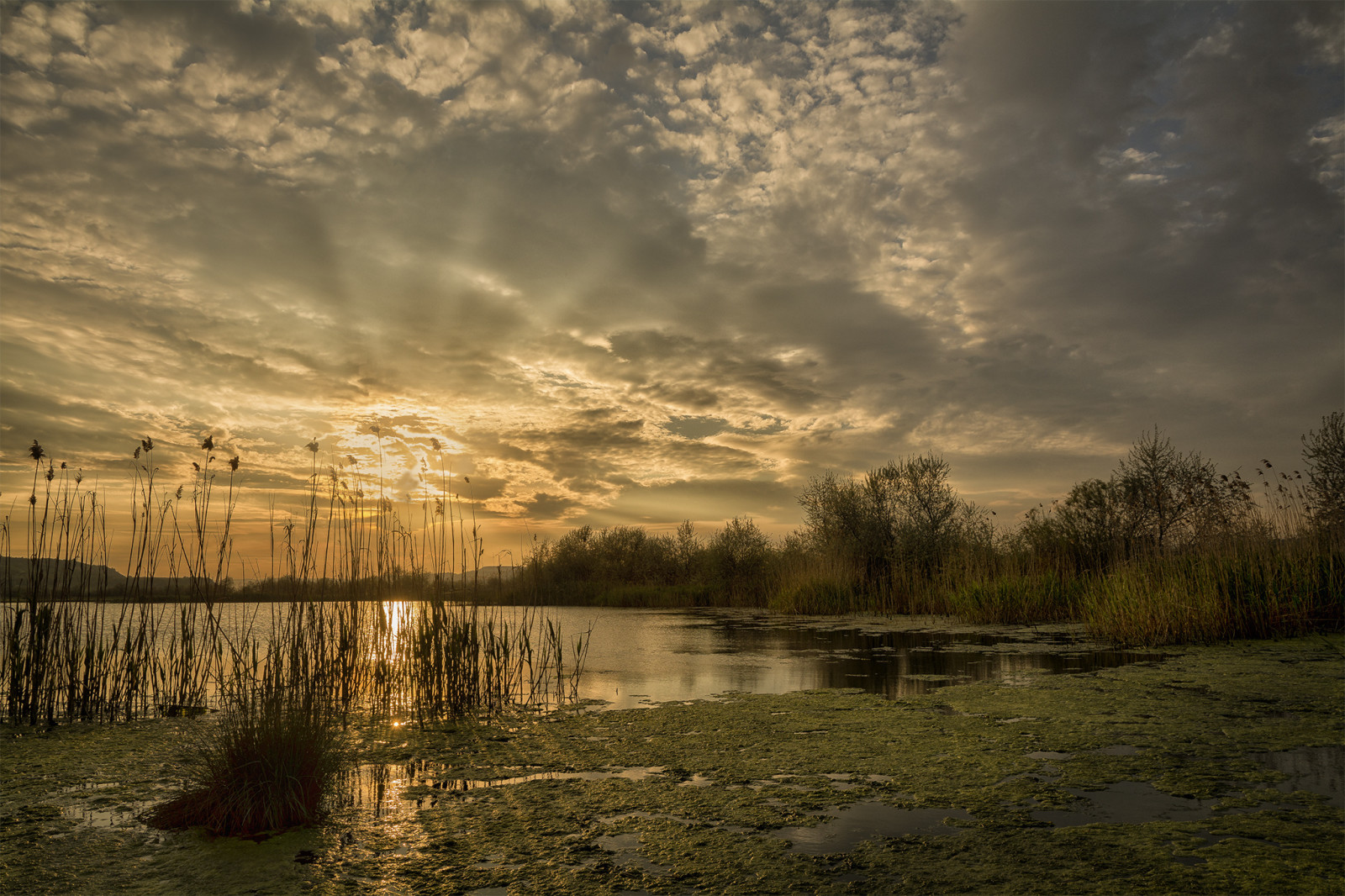 la nature, Lac, des arbres, des nuages, Des rayons, l'eau, Aube, le soleil