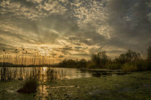 clouds, dawn, lake, nature, Rays, the sun, trees, water