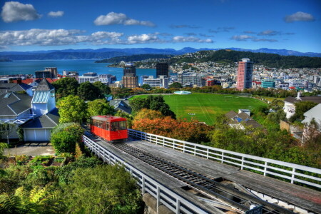 UND, Wald, Zuhause, Berge, Neuer Eifer, Neuseeland, Panorama, Stadion