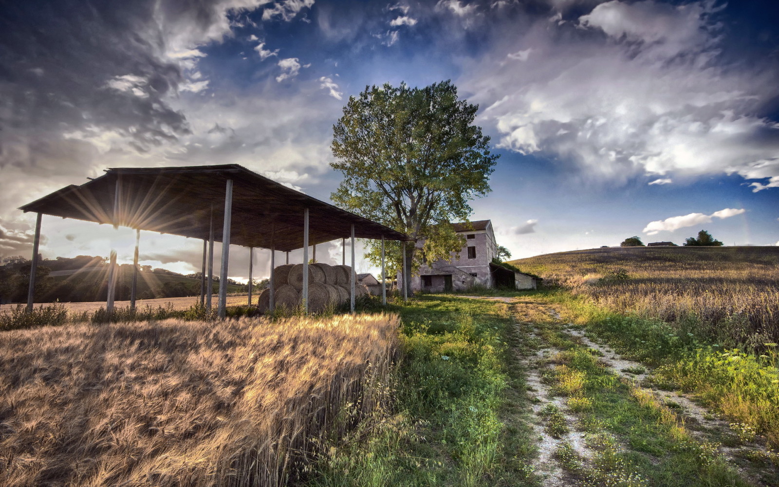 huis, zomer, landschap, veld-, oren, hooi