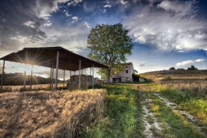 ears, field, hay, house, landscape, summer