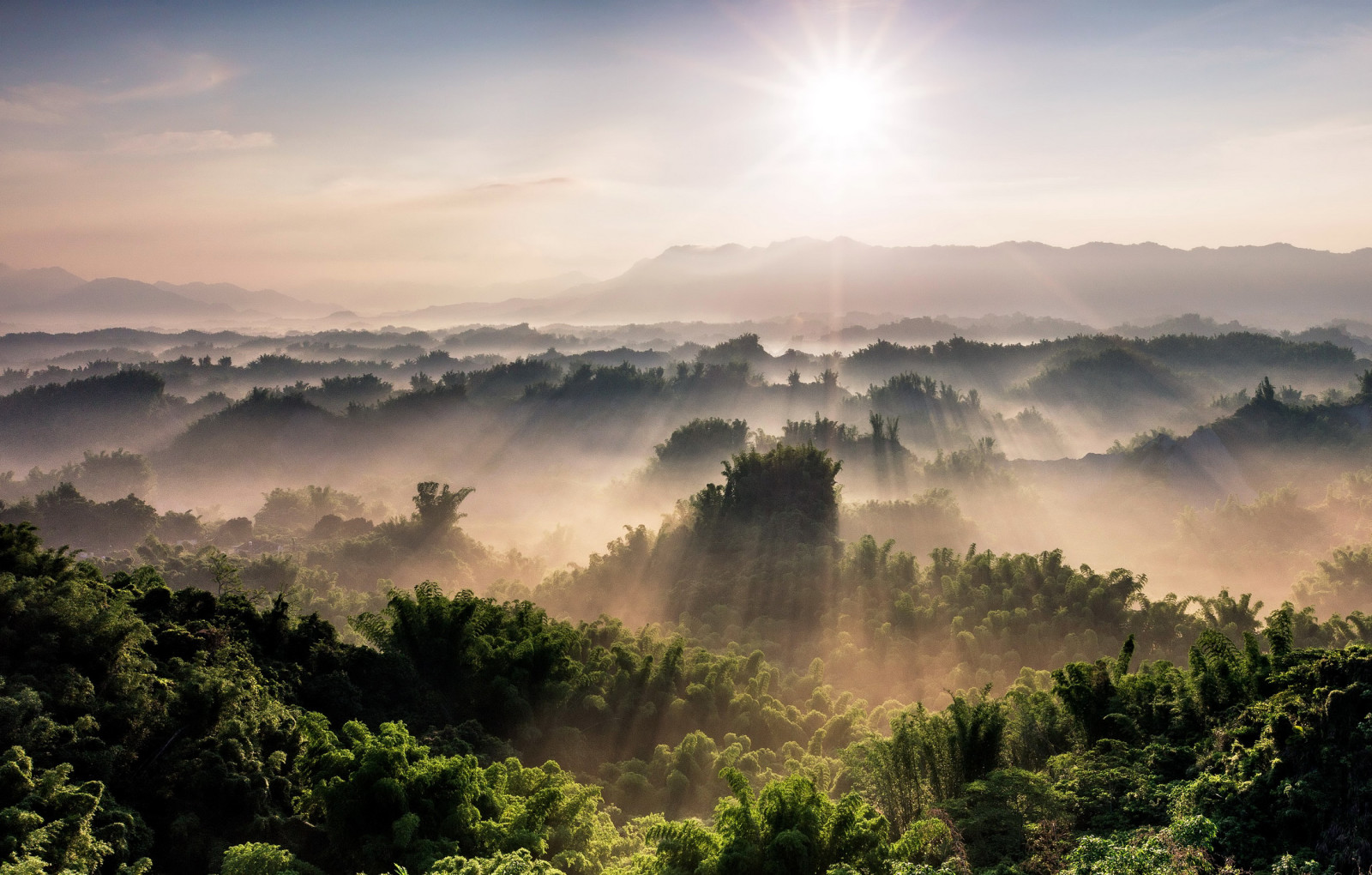 Wald, Bäume, Morgen, Berge, Panorama, Nebel, Die Sonnenstrahlen