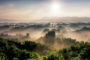 mgła, las, ranek, góry, panorama, Promienie słońca, drzewa