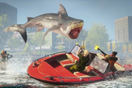 boat, Maneater, people, shark