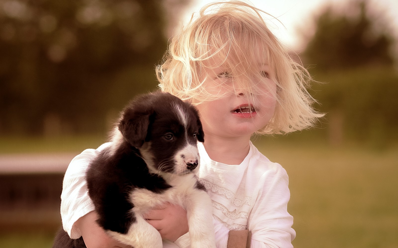 mood, dog, child