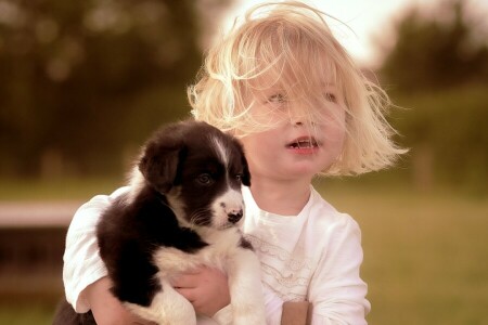 enfant, chien, ambiance