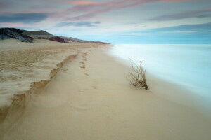 naturaleza, arena, mar, apuntalar