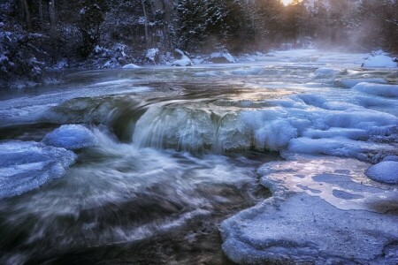 du froid, forêt, la glace, rivière, neige, courant, l'eau, hiver