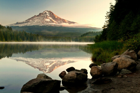 bosque, lago, paisaje, montañas, naturaleza, reflexión