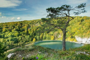 Bayern, Niemcy, krajobraz, Natura, zdjęcie, drzewa