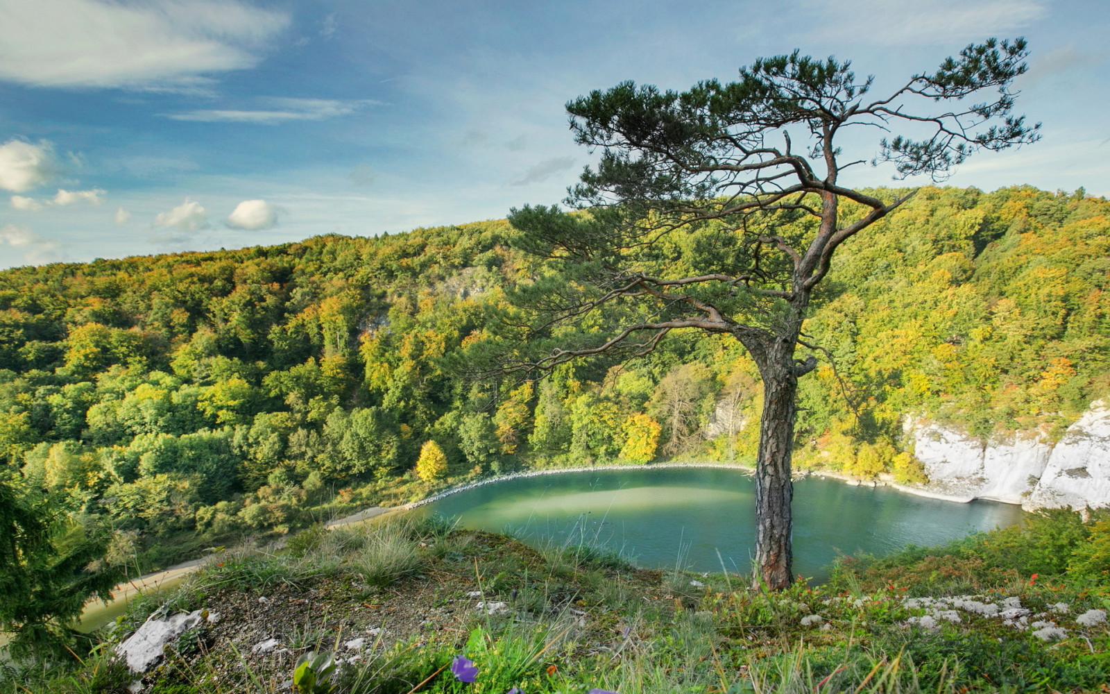 naturaleza, paisaje, arboles, Alemania, Bayern, foto