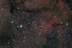 Trompa de elefante, nebulosa, espacio