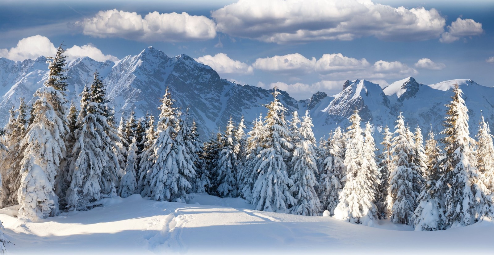 foresta, natura, il cielo, inverno, nuvole, montagne, bellissimo