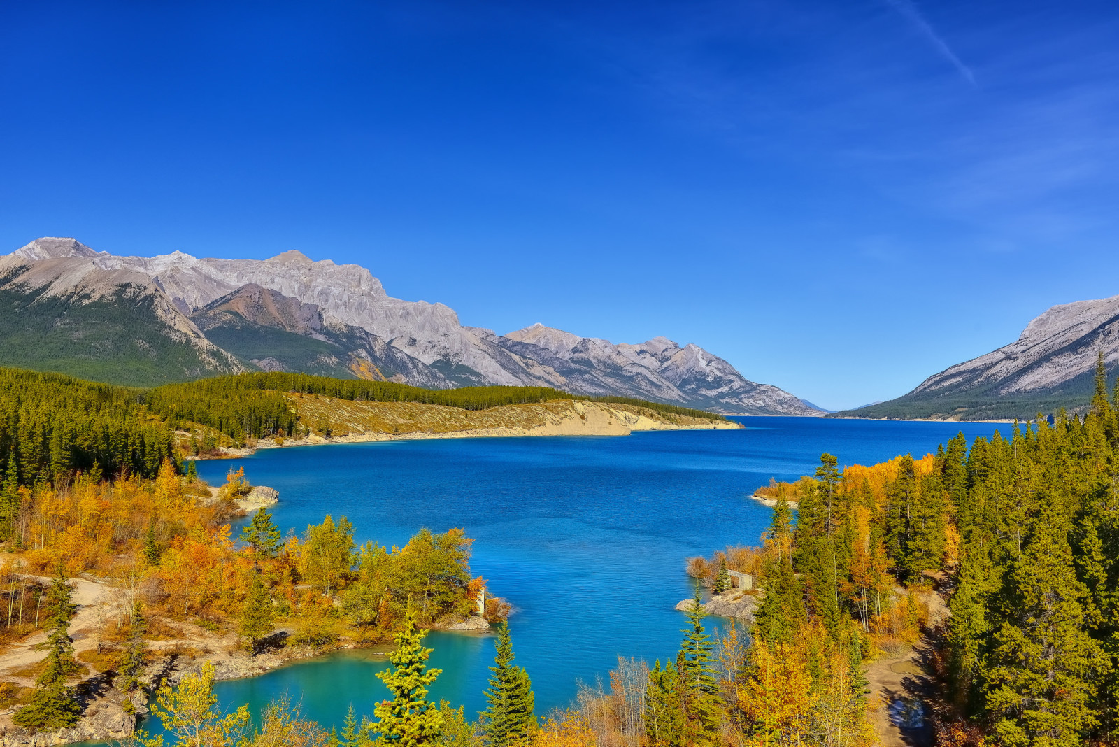 otoño, bosque, el cielo, lago, arboles, montañas