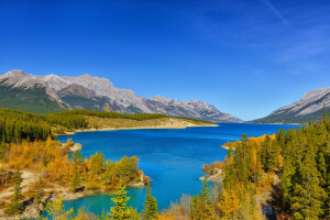 Herbst, Wald, See, Berge, der Himmel, Bäume